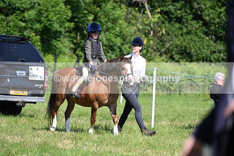 WJ7_0712 - Class 8 First Rally Pony