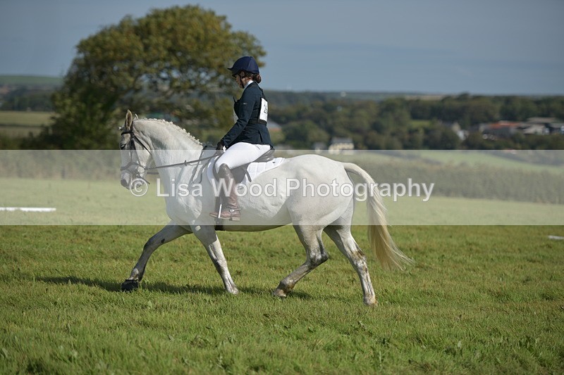 RAY_8097 - Class 2B: Trekenning Open: Dressage