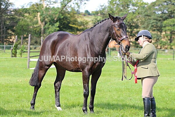 SIAL6532 - championships