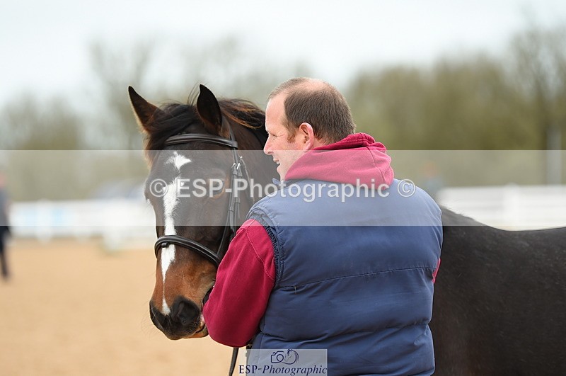 230416A-140608-04740 - Cls 46+43 In Hand Warmbloods and Foreign