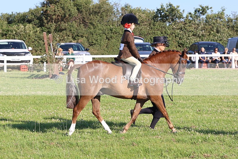JPP_0787 - Class 16: Cornish Combination Leading Rein