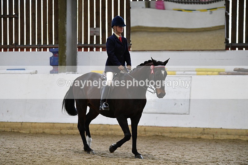 WJ5_7841 - Class 13 Ridden Part Breed
