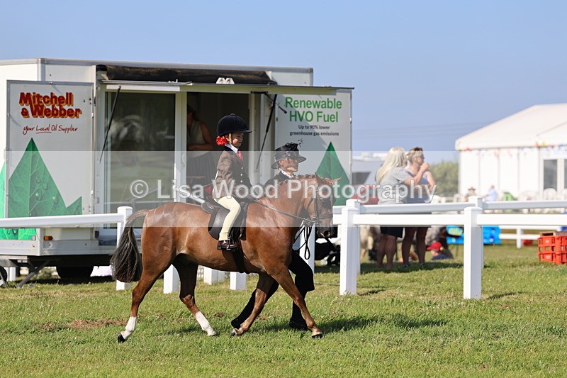 IMG_1707 - Class 31: Lead Rein SP/SHP