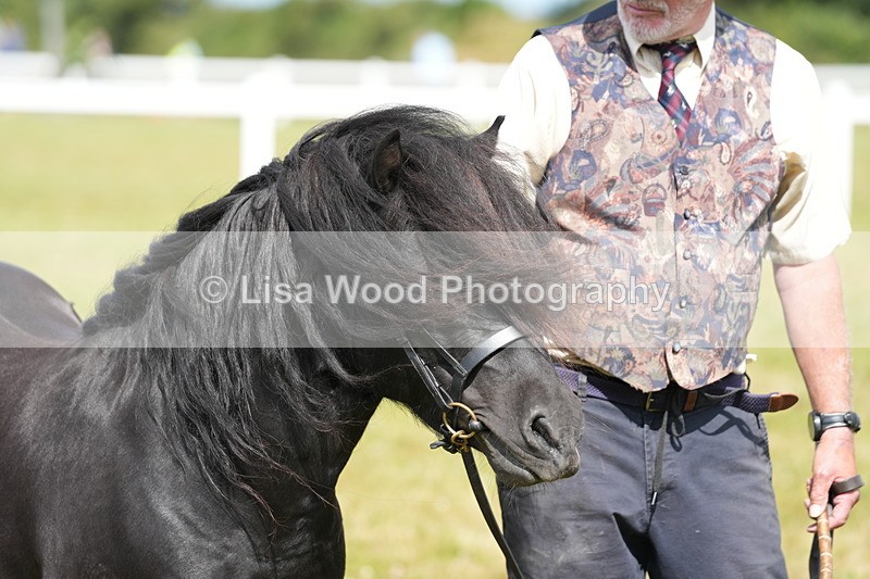 DSC05391 - Class 49: NPS Shetland 4 years and over