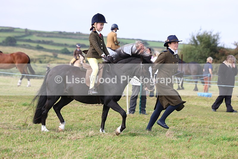 3E7A3437 - Class 2: Lead rein