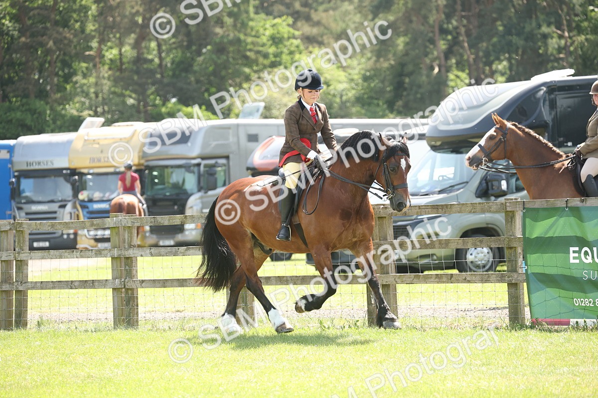 SBM_07007 - Class 26-30 - Mountain and Moorland Ridden