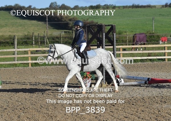BPP_3839 - CLASS 0 Clear Round Show Jumping