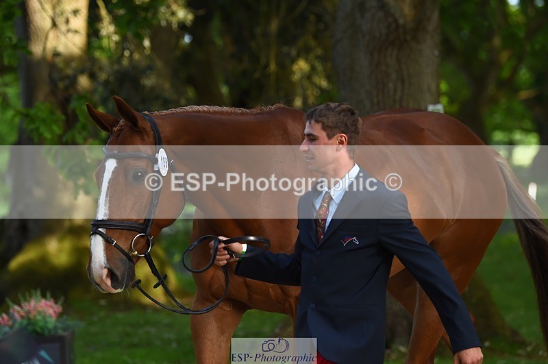 230524-170838-01307 - 156-JUST_PERFECT-Gaspard_Maksud-WEDTrotUp+DR