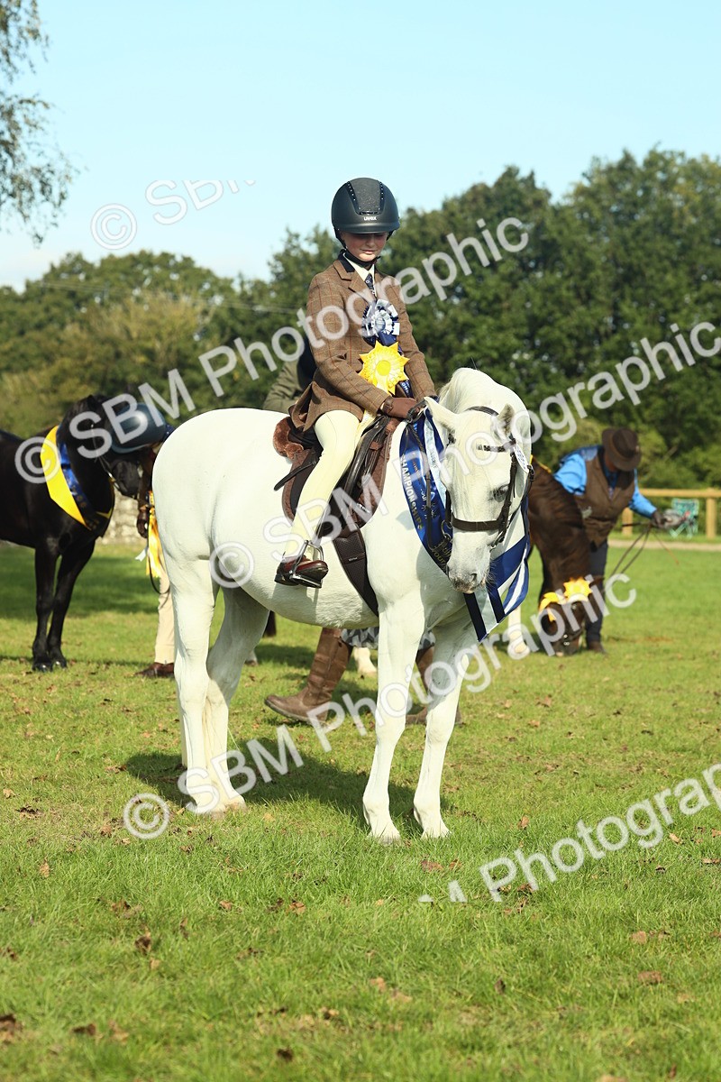 SBM_61160 - Starter Supreme Championship