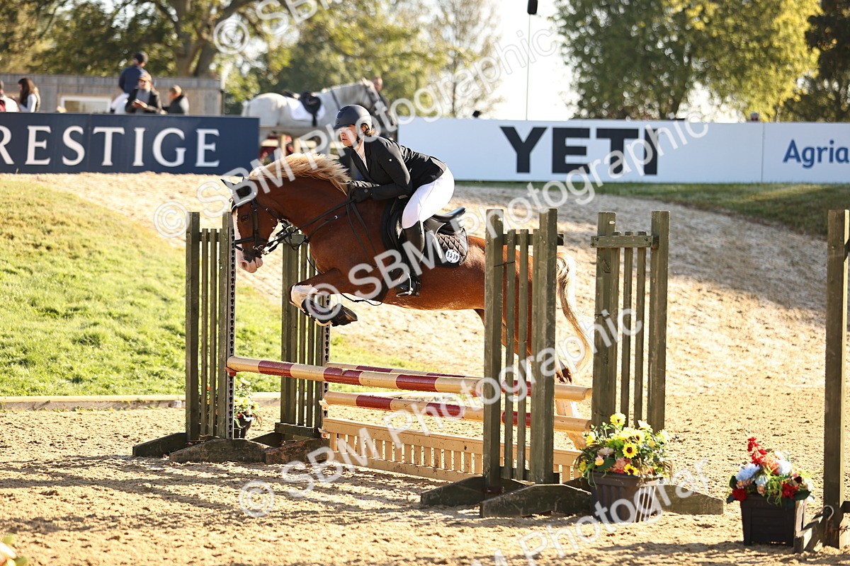 SBM_34733 - J38 - Senior 80cm Championship