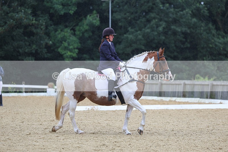 3E7A4805 - Class 1: Intro 4 2024 section A