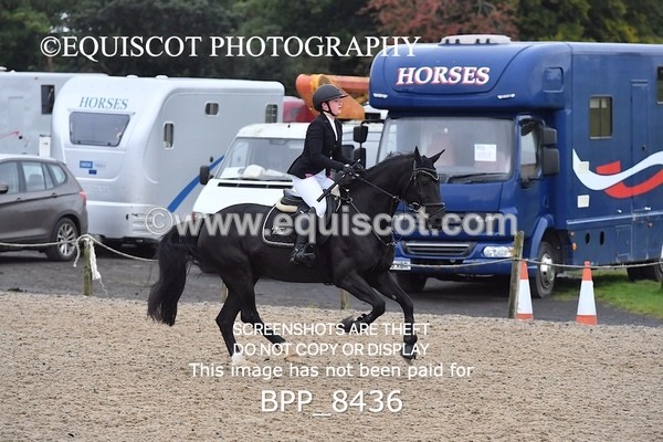 BPP_8436 - CLASS 3 Pony BritiNovice / 0.80m Open