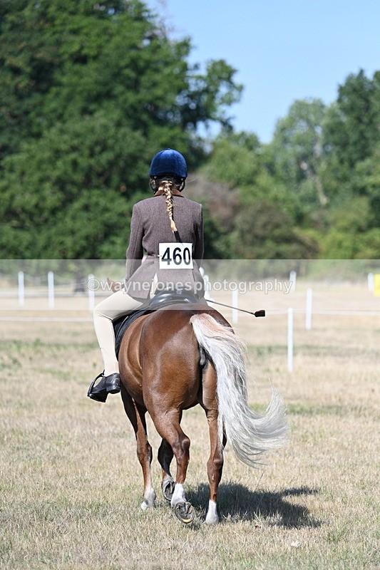 WJ7_3985 - Class 9 Mountain & Moorland Ridden