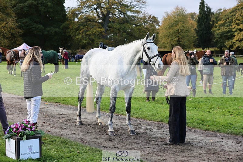 251026A-101842-22872 - D-329-Clementine.Montgomerie