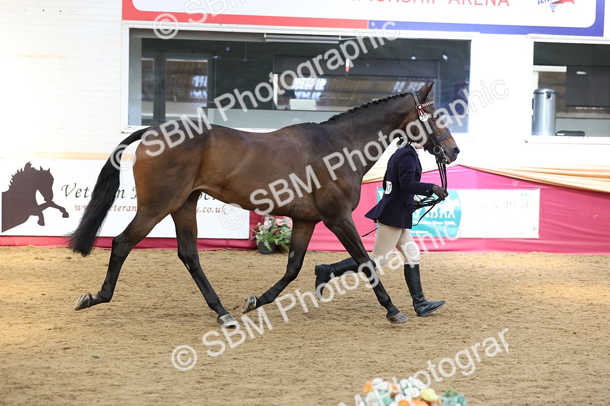 SBM_23239 - Class 905 - Supreme Final - Ridden Veteran