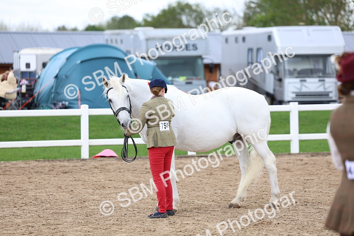 SBM_05112 - Class 27 - IH Competition Horse or Pony
