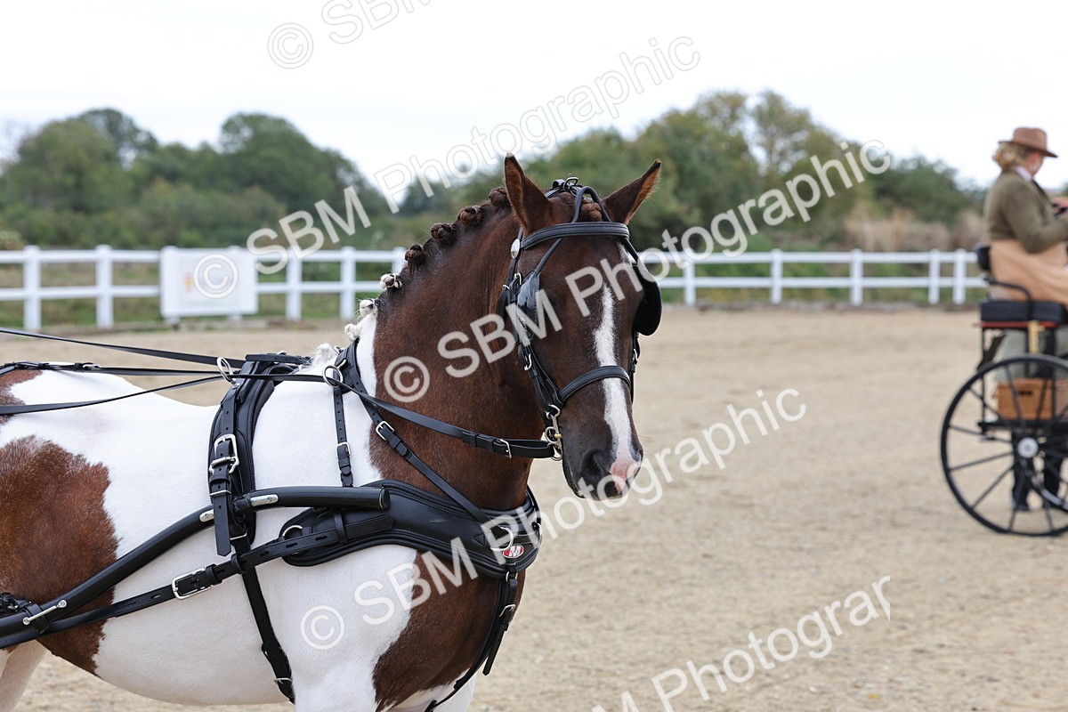 SBM_000309 - Class 2 - Exercise Vehicle 13.2hh & Under