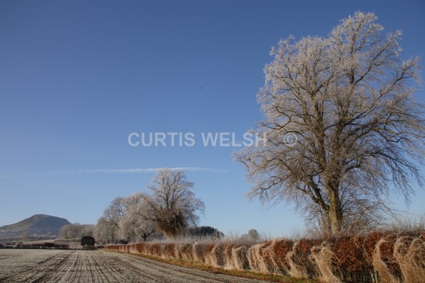 62 - SCOTTISH BORDERS