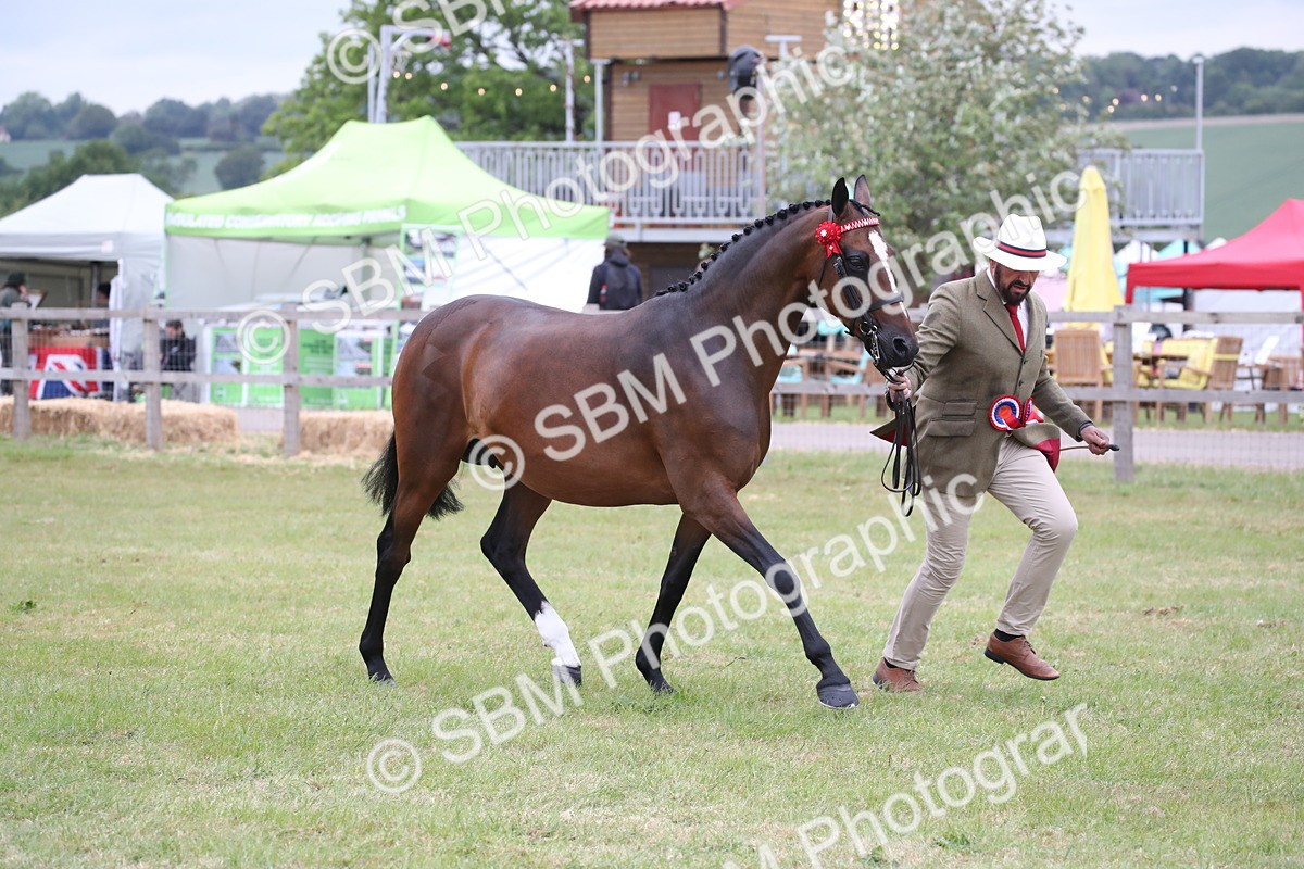 SBM_09846 - Ch 50 - Price Family Supreme In Hand