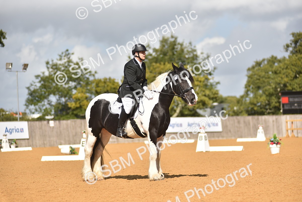 SBM_03400 - D4 - Small Tour Championship Intro 4