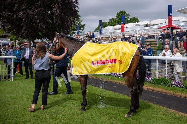 150525-American Affair-5316 - Race 1 2.10pm Lindum York Handicap