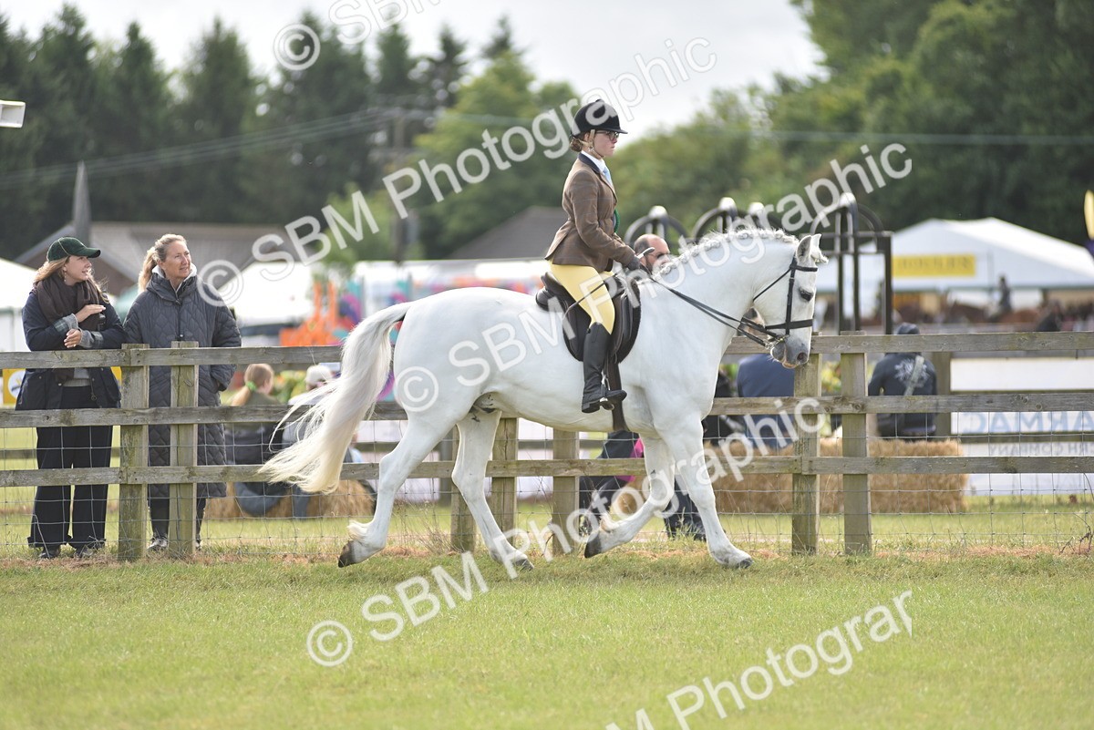 SBM_12159 - Class 110-112 - LIHS BSPS Performance Pones