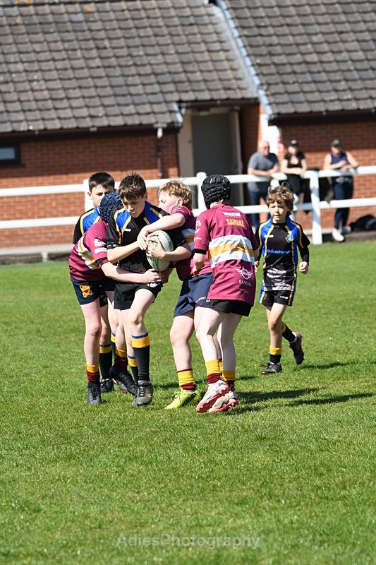  - Selby Rugby Festival 2025