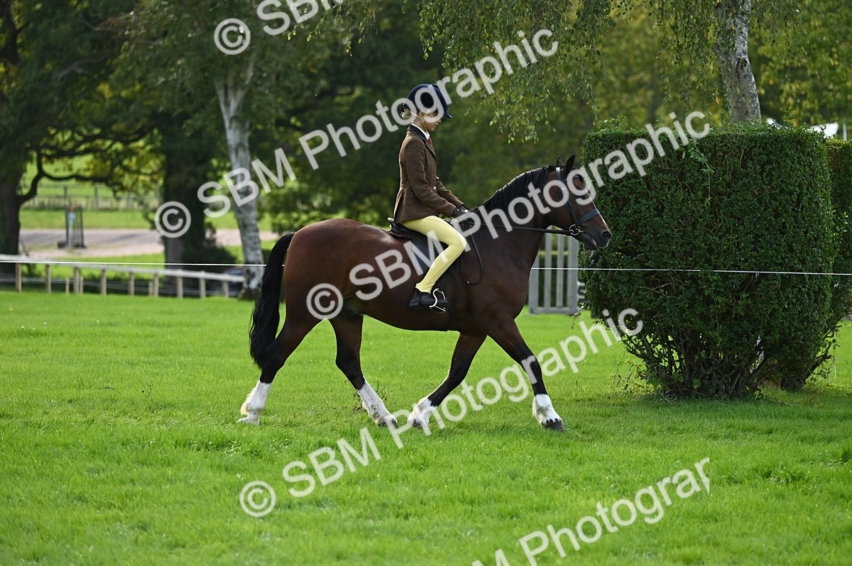 SBM_02597 - S3 - TSR Ridden Pony Showing