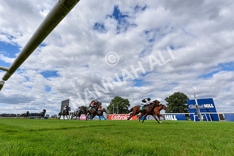 020825-Race 1-Rikki Tiki Tavi-8054 - Race 1