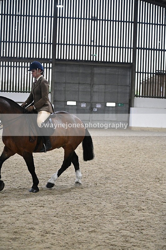 WJ7_3998 - Class 17 Ridden Cob