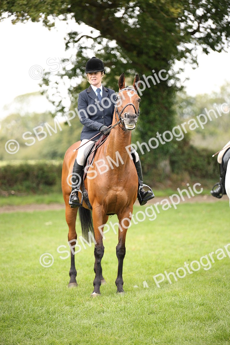 SBM_65955 - S64 - Riding Horse & Hack & Thoroughbred Ridden