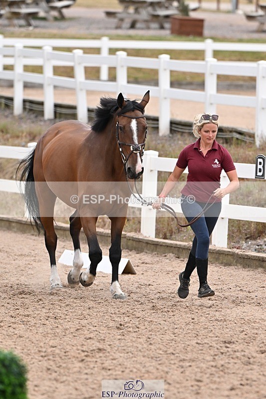 250716-143131-01164 - Trot Up 2.30 to 3.30