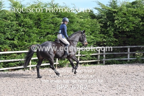 BPP_6782 - RING 1  (RIDDEN HORSES / IN HAND / VETERAN ETC)