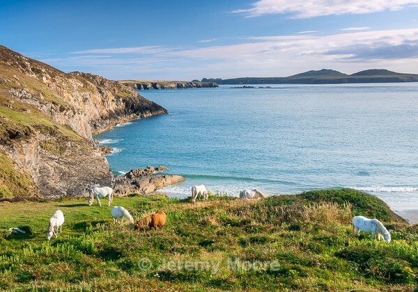 P189 - Pembrokeshire p/c catalogue