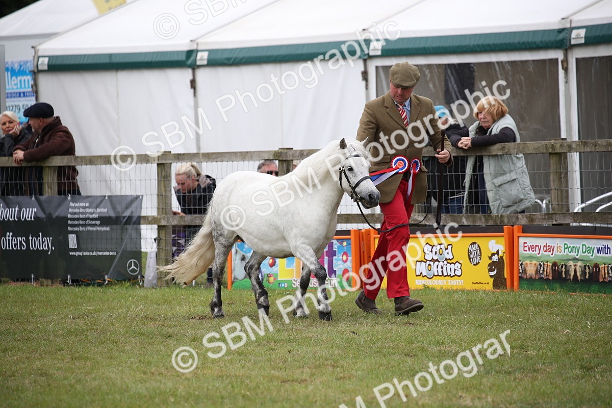 SBM_09752 - Ch 50 - Price Family Supreme In Hand