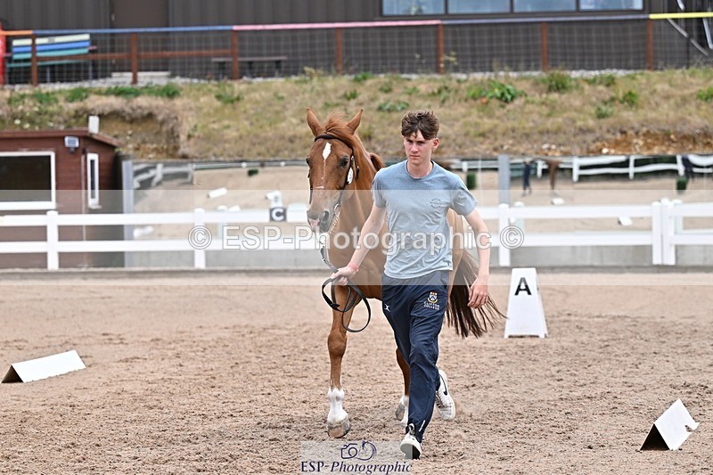 250716-133417-00579 - Trot Up 1.30 to 2.30