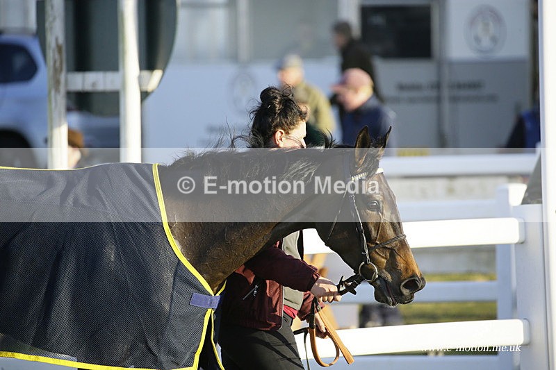 PtP 270222 653 - South & West Wilts Point-to-Point Larkhill 27/02/22