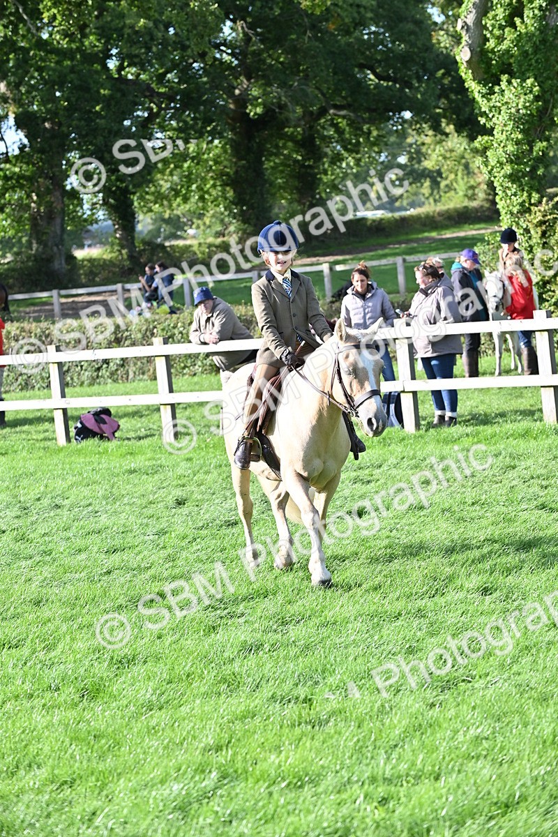 SBM_51258 - S22 - First Ridden show and show Hunter Pony