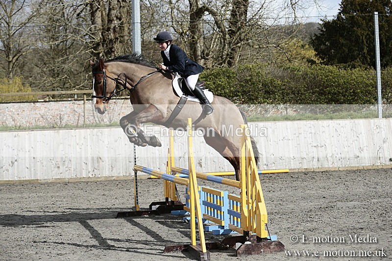 BVRC SJ 170319 692 - Bourne Valley Riding Club Showjumping 17/03/19