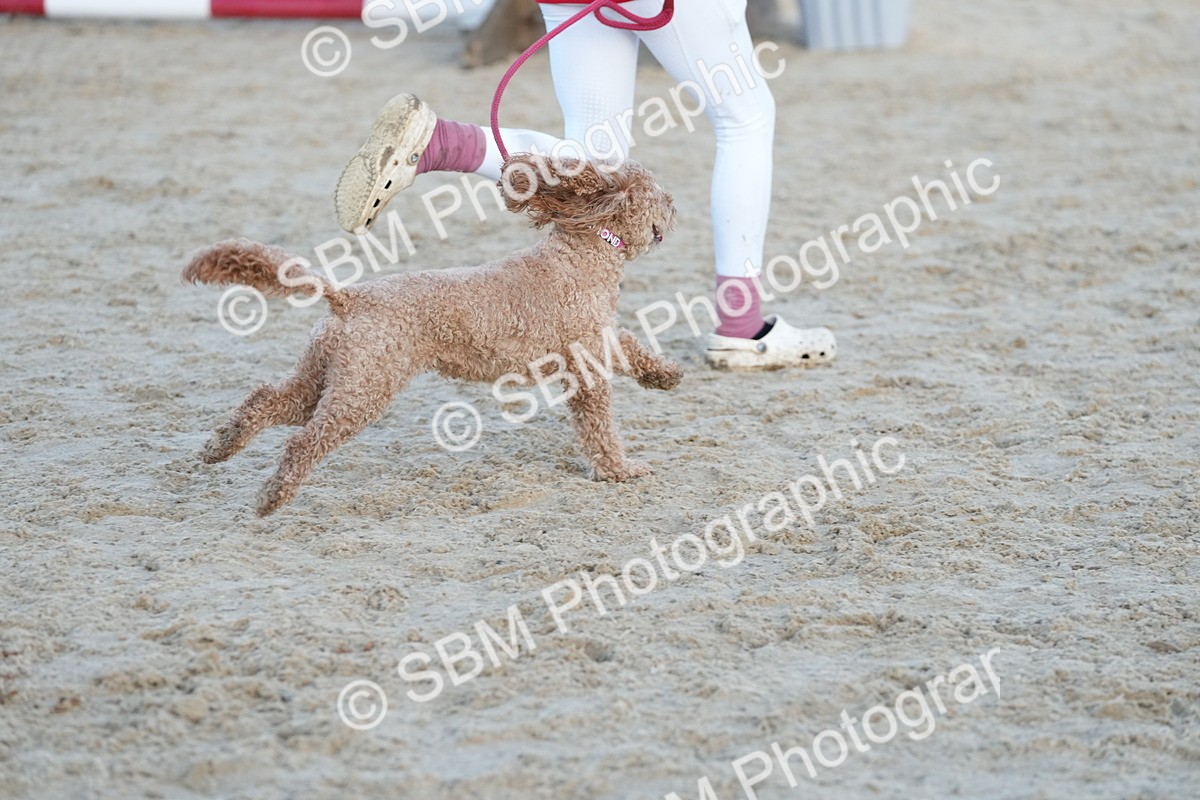 SBM_29489 - J44 - Horse & Hound Open 70cm