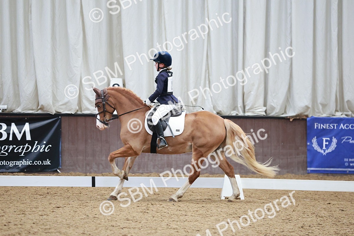 SBM_003971 - Class 2 - Novice 2020