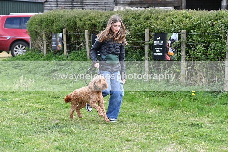 WJ5_0109 - Class 5 Best Veteran / 7 years & over