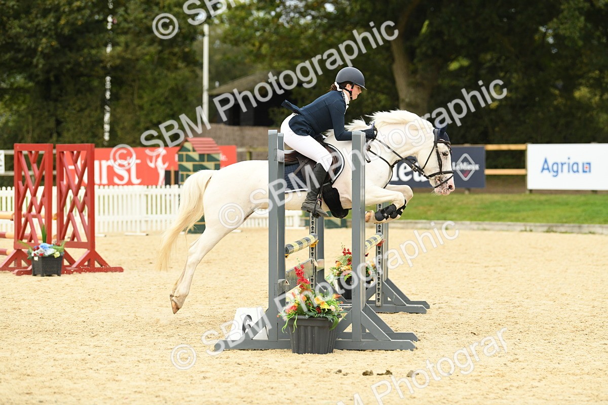SBM_75783 - Supreme Championship
