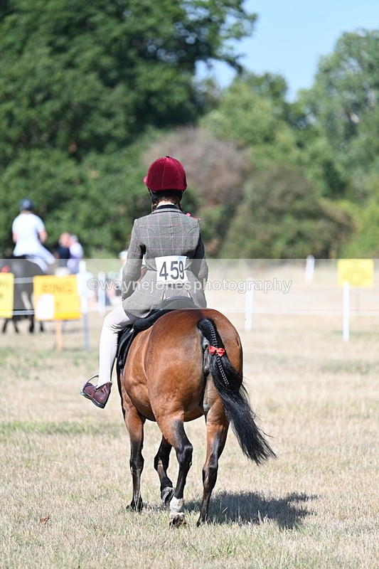 WJ7_4033 - Class 9 Mountain & Moorland Ridden