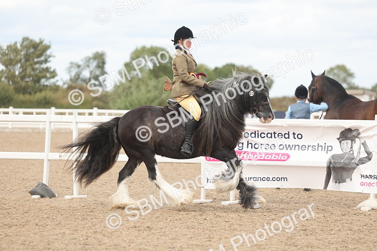 SBM_18096 - Class 314 - Family Horse Pony