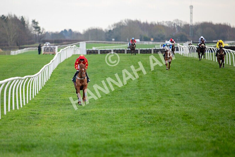 171224-Race 4-Wise Eagle-0188 - Race 4