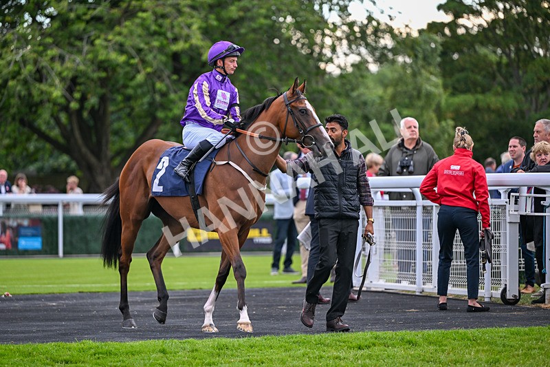 030726-Race 5-Hatamoto-2016 - Race 5 20.10pm Jacksons Of Yorkshire Handicap