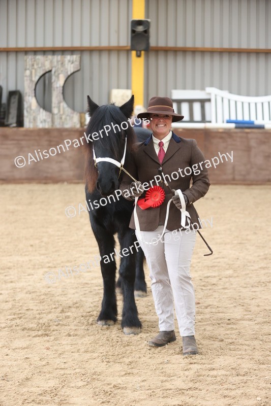 20251109-0855 - Class 25 - Yearling, Colt, Filly or Gelding