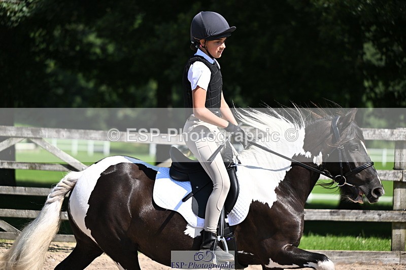 240729B-112555-02381 - Showjumping Competition