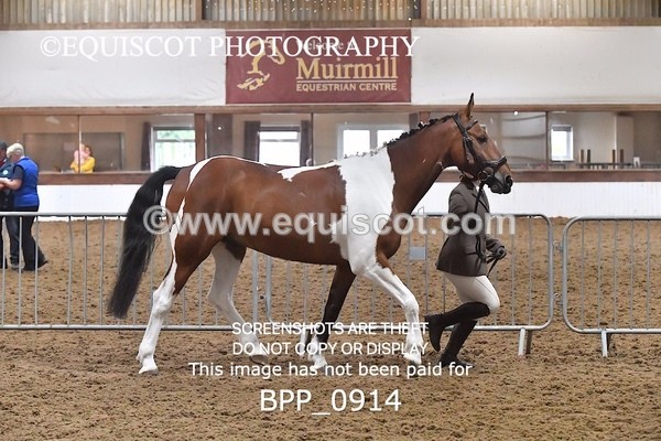 BPP_0914 - RING 2